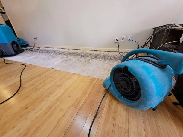 Professional Flood Damage Cleanup technician working in Post, OR